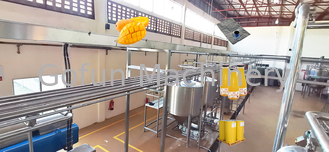 Linea di trasformazione frutta fresca dell'inceppamento industriale del mango 100T/D che fa macchina