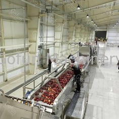 380V 50Hz Linea di produzione di marmellata di mele / succo 2t/h Risparmio d'acqua