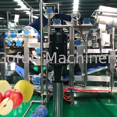 SUS 380V 304 industrie di Apple Juice Processing Line For Food