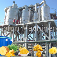 Linea di produzione di succo di ananas concentrato 15T/Giorno SS304 Automatica