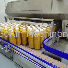 SUS304 / SS316 Linea di produzione di pasta di mango 5 t/h Supporto operativo flessibile