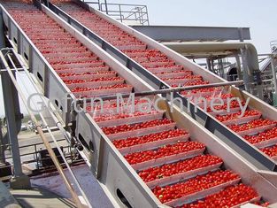 Lo SpA controlla la linea di trasformazione il riciclaggio del pomodoro della macchina utensile dell'alimento dell'acqua