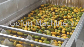 Alto efficace livello dell'impianto di lavorazione del mango della piccola scala che estrae tasso