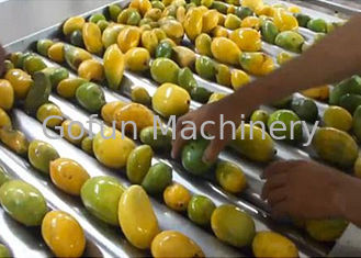 Chip della frutta del commestibile che fanno il basso consumo energetico della macchina 1500 T/giorno
