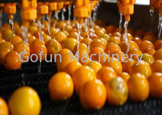 Equipaggiamento professionale per la trasformazione di agrumi di mandarino 5T/H Certificato ISO