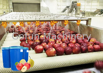 Linea professionale Apple di lavorazione della frutta e macchina di produzione del succo di pera