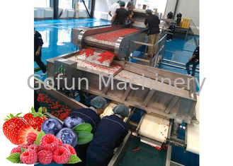 SUS 304 Berry Processing Equipment 10-100T/D della frutta secca