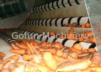Impianto di lavorazione della carota industriale/attrezzatura di elaborazione stabile della carota