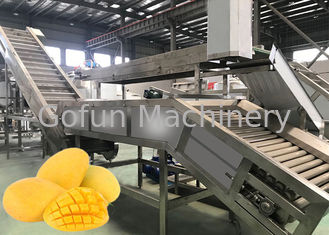 100T/D linea di lavorazione del mango SUS304 macchine per la lavorazione del succo di mango