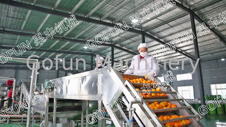 Equipaggiamento professionale per la trasformazione di agrumi di mandarino 5T/H Certificato ISO