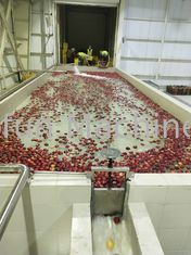 Risparmio di acqua Risparmio di energia Progetto chiavi in mano per la linea di produzione di marmellata di succo di mele concentrata di frutta
