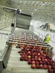 Alta efficienza Apple Juice Processing Line Machine SUS316 30T/H 7.5kw