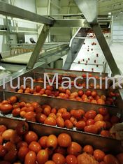 Linea di produzione di pomodori di grado alimentare SUS304 personalizzata 100T/D
