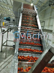 Linea di produzione della salsa ketchup 25T/H riempimento asettico del commestibile