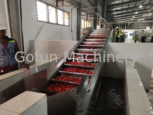 Linea di produzione economizzatrice d'energia della passata di pomodoro per lavare 100T/D asciugantesi