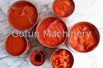 La linea di trasformazione ketchup/della salsa al pomodoro ha personalizzato 0 - 10T/D