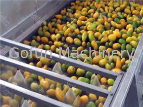 100T/D linea di lavorazione del mango SUS304 macchine per la lavorazione del succo di mango