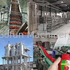 Linea di produzione di pomodori di grado alimentare SUS304 personalizzata 100T/D