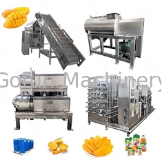 attrezzatura di elaborazione industriale del mango 500kg/H per succo 300T/D