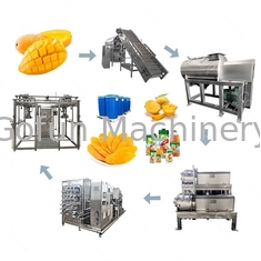 Polpa del mango della macchina di produzione della pasta del mango SUS304 che elabora con la borsa asettica