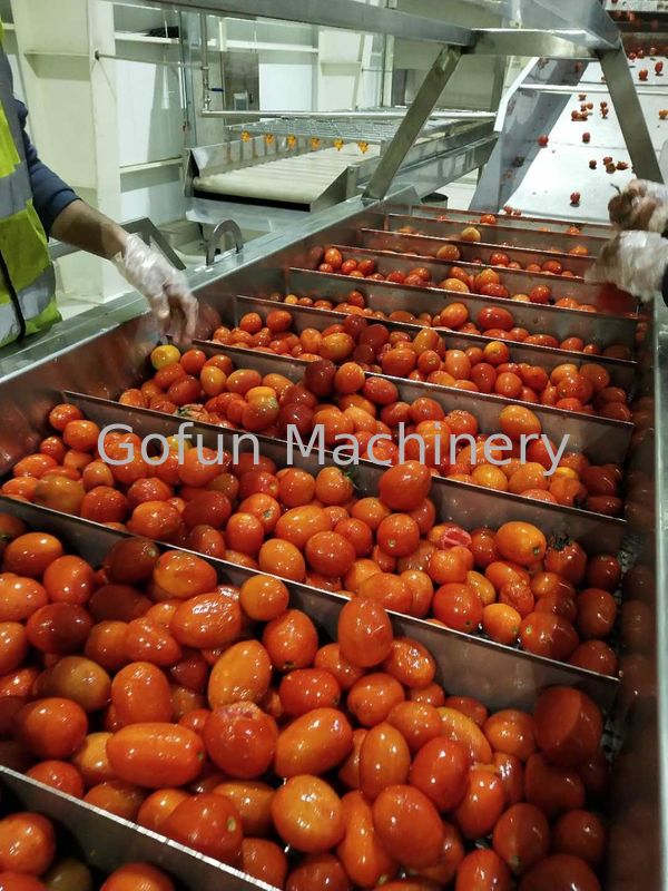 220v / Linea di trasformazione su misura linea di produzione dell'inceppamento della frutta risparmio energetico del pomodoro
