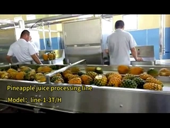 come il succo di ananas è fatto in fabbrica|succo di ananas| line-1-3T/H