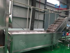 Che cosa è la produzione e processo di elaborazione del fico d'India?