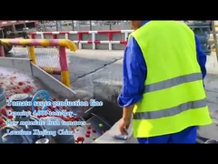 Quali macchinari servono per produrre salsa di pomodoro?