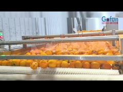 Linea di produzione industriale per la lavorazione del succo NFC, un set completo di sistemi di pulizia, succo, sterilizzazione e