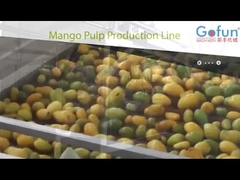 linea di produzione di purea di mango set completo di macchine per impianti di lavorazione dei succhi