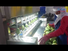 Intelligente Macchina per pelare le patate per le linee di lavorazione di frutta e verdura con 8 serie di coltelli
