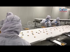 Macchina di lavorazione di mango secco industriale per la linea di produzione di frutta e verdura secca