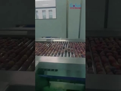 Industria Linea di produzione di succo di pesche Linea automatica di lavorazione delle pesche Macchina personalizzata