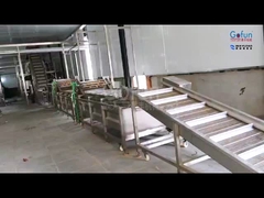 Attrezzature per la trasformazione di frutta tropicale: pasta + succo + frutta secca 3 in 1