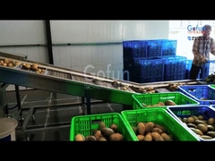 Guida alla selezione della linea di produzione di lavorazione del mango