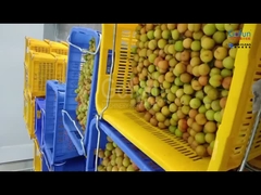 Una linea di trasformazione della pasta di prugne con una capacità di 5 tonnellate all'ora su misura per le aziende cinesi