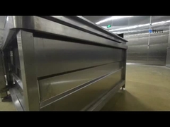 Macchina automatica per la pulizia di frutta e verdura Set completo di linee di pulizia per frutta e verdura