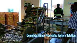 Linea completa di lavorazione del mango Soluzione di fabbrica chiavi in ​​mano