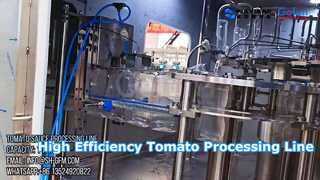 Soluzione chiavi in ​​mano per la linea di lavorazione del concentrato di pomodoro industriale