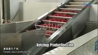 linea di produzione di ketchup