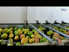 Linea di produzione di succo di mango premium