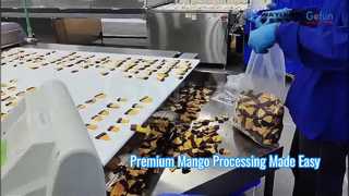 Linea di lavorazione del mango premium Soluzione di mango essiccato gommoso morbido
