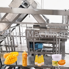 Linea di produzione industriale del succo di mango 20T/H tutto in uno