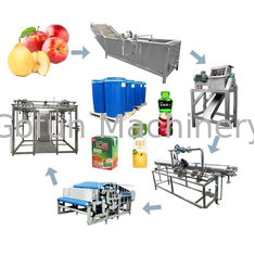 NFC industriale Apple Juice Production Line HPP Juice Processing Machine