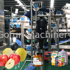 10 - 100T/D SUS 304 Linea di lavorazione del succo di mela per l'automazione Progetti chiavi in ​​mano
