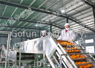 Operazione facile dell'impianto di lavorazione del limone linea di trasformazione/440V dell'agrume di HPP
