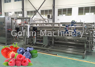 Linea macchina utensile ISO9001 di lavorazione della frutta di pulizia di CIP del succo della fragola