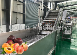 Linea controllo di lavorazione della frutta di risparmio dell'acqua di sicurezza di concentrazione nel succo di albicocca