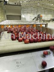 380V 50Hz Linea di produzione di marmellata di mele / succo 2t/h Risparmio d'acqua