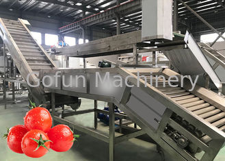 La linea di produzione del pomodoro del commestibile 304SUS ha personalizzato 100T/D